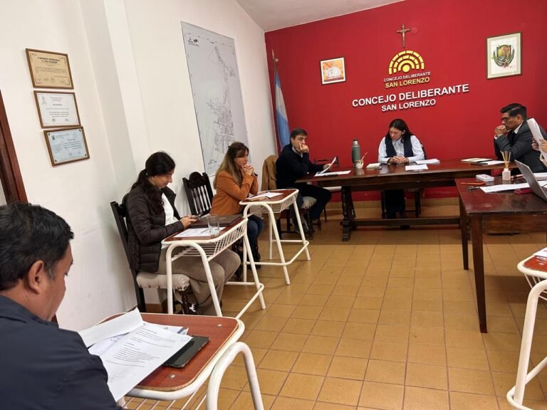 Sesión Especial en el Concejo Deliberante