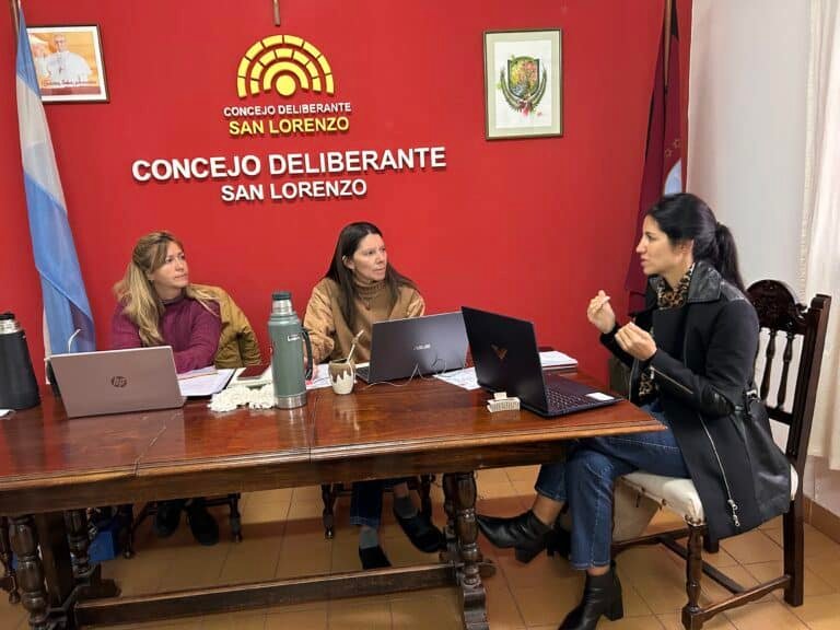 Entre planificación urbana e historia salteña: los temas de la comisión